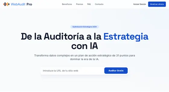Pantalla de WebAudit Pro: auditoría web